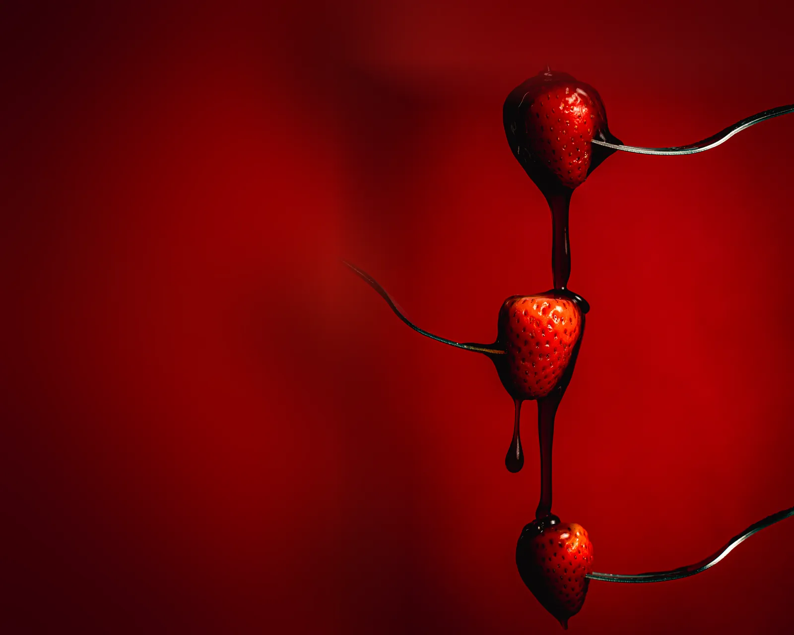 Fresas pinchadas en tenedores con chocolate cayendo de una a otra sobre fondo rojo