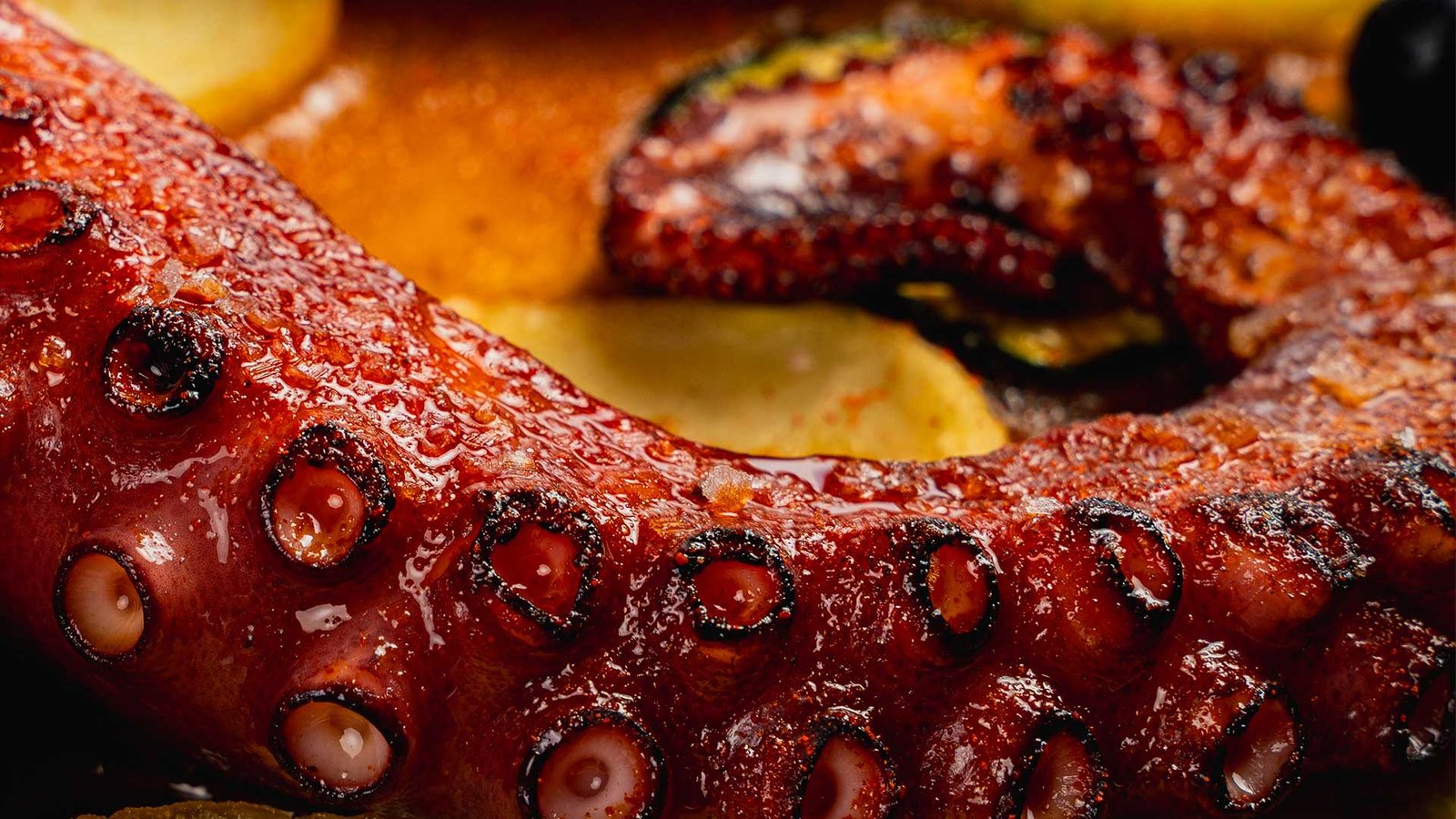 pulpo cala rajada